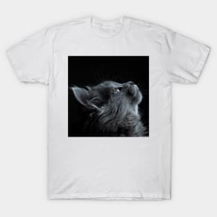 Gray Cat T-Shirt